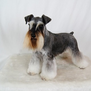 可愛いお顔の女の子！