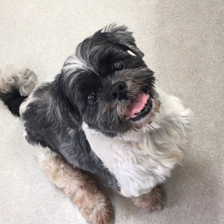 良いご縁に繋がりました。