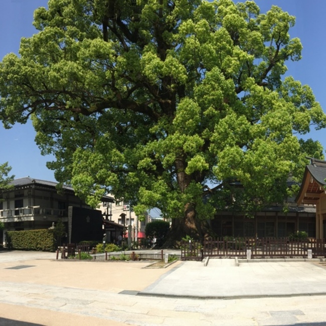 K二のカバー写真