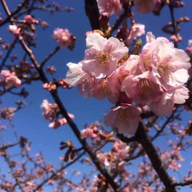 TomoAiGunのカバー写真