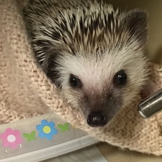 たくさんのご応募ありがとうございました。