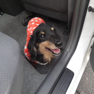 大事な大事な命が繋がりました！ありがとうございます