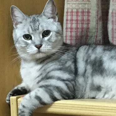 の写真