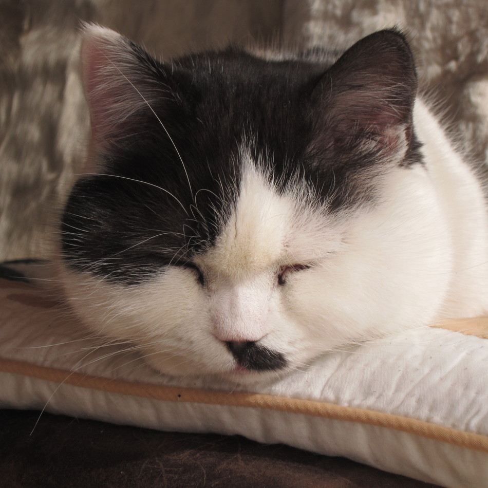 武蔵のカバー写真