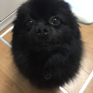 お問い合わせありがとうございました！