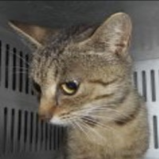 保護団体様が引き出して下さいました。