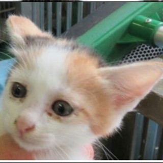 ありがとうございます(>_<)