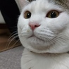 避妊してから更なる成長(太っただけ)何とかせねばw