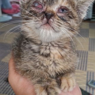 応募者様がおられますので一時中断いたします