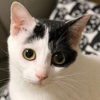 大きな瞳がキュート ♪ 優しくてお茶目なデニム