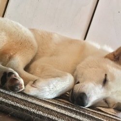 「お風呂」サムネイル2