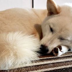 「お風呂」サムネイル3