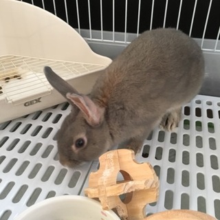 皆様、本当にありがとうございました！