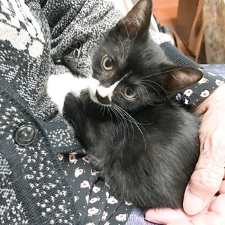 生後2カ月の小さな女の子