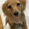 の写真