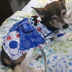 「緊張の夏」サムネイル2