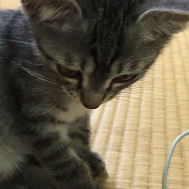 の写真