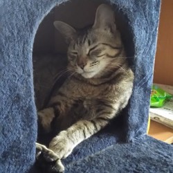 すっかり甘えん坊さんになりました(*Ü*)