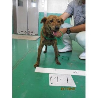 団体が、引き出してくれました。