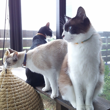 一緒にいるけど 興味は別 ってこともあるよね♪