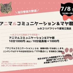 7月「アニマルコミュニケーション&マヤ暦」