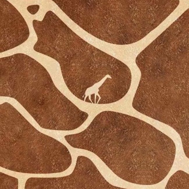 K1R1Nのカバー写真