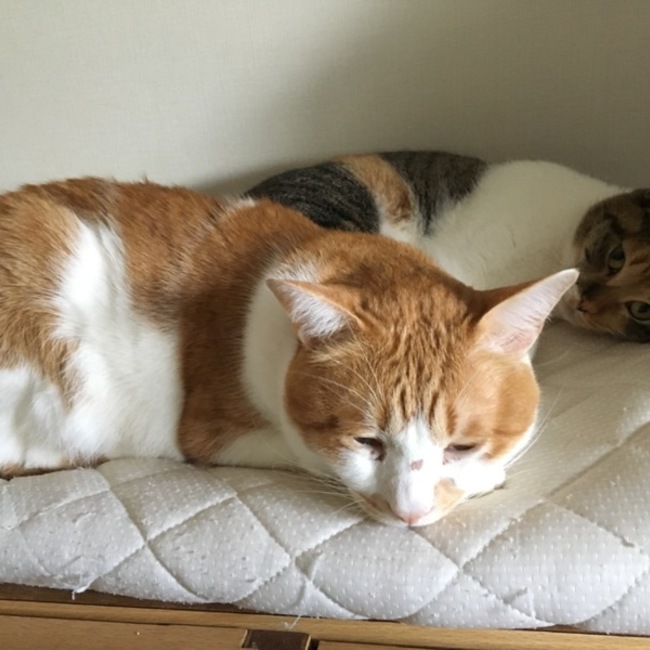 ふくしま@東区のカバー写真