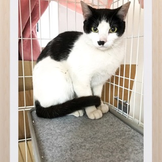 凛とした美人さん１歳