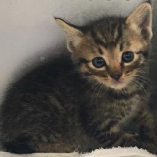 幼い子達に温もりをお願いします。期限6月22日迄！