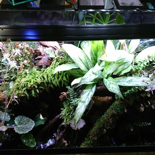 みき丼のカバー写真