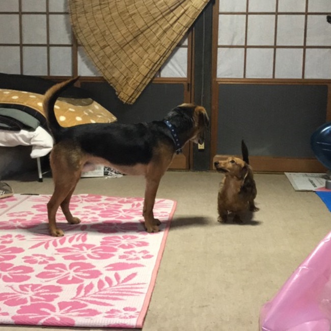 ayataka37のカバー写真