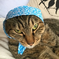 スイ坊