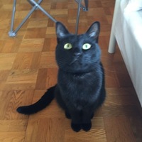 ハク坊