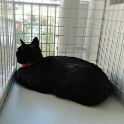 「蚊の季節になりました。」サムネイル1