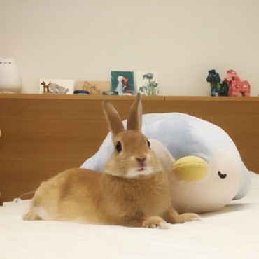ぬしのベッドでひとやすみ