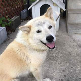 甘ったれ男子いっとく君