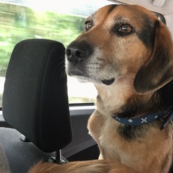 「１泊２日」サムネイル2