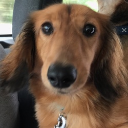 「１泊２日」サムネイル3