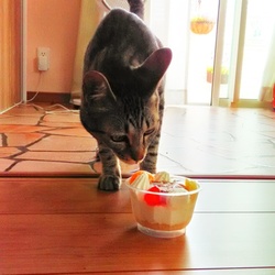 詔ちゃん1歳のお誕生日