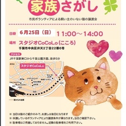 にゃんこの家族さがし　千葉市猫ボランティア連絡会