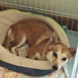 ファニーフェイスな女の子、お散歩大好き♬