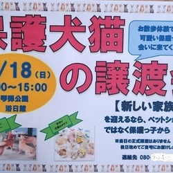 保護犬猫の譲渡会