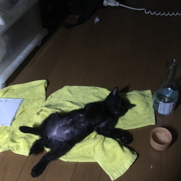 酔っ払っちゃった(笑)