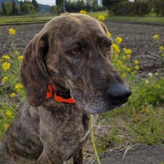 我が子になりました