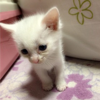 捨てられてました。誰か本当にお願いします。