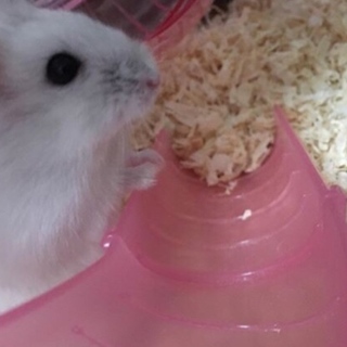 再度募集します。