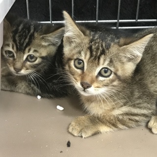 ヤンママファミリー٩(๑❛ᴗ❛๑)۶