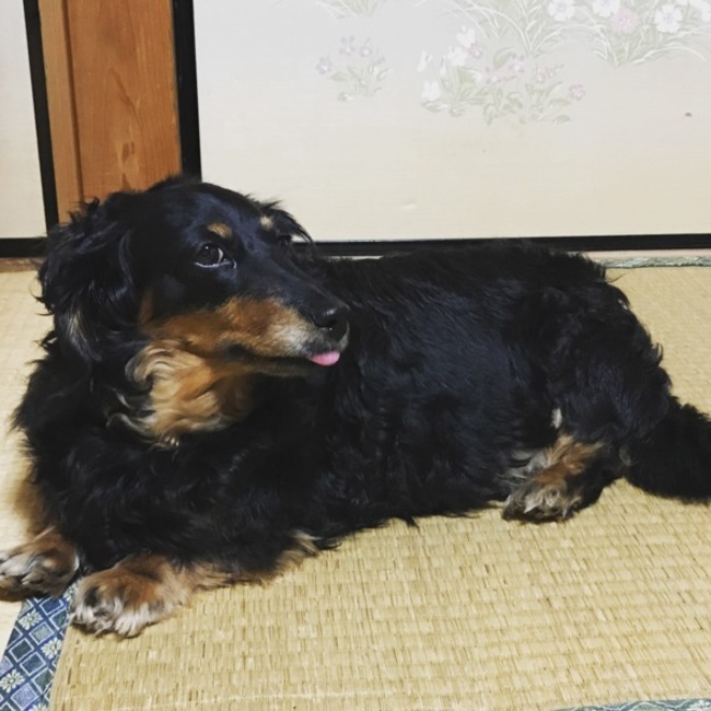 Mchiのカバー写真