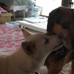 「ﾝｰ(っ `」サムネイル2