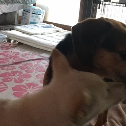 「ﾝｰ(っ `」サムネイル3